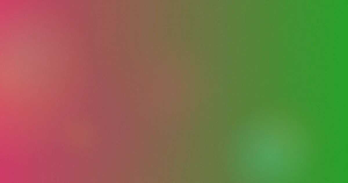 松下莎荣子是什么？一次说清